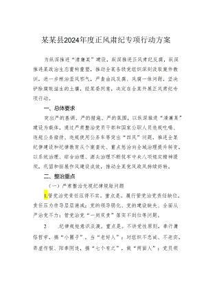 某某县2024年度正风肃纪专项行动方案.docx