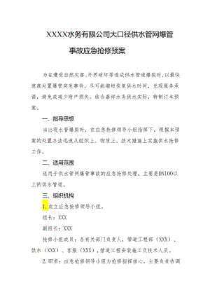 水务有限公司大口径供水管网爆管事故应急抢修预案.docx