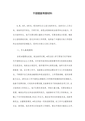 干部提拔考察材料.docx