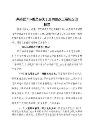 共青团X市委员会关于巡察整改进展情况的报告.docx
