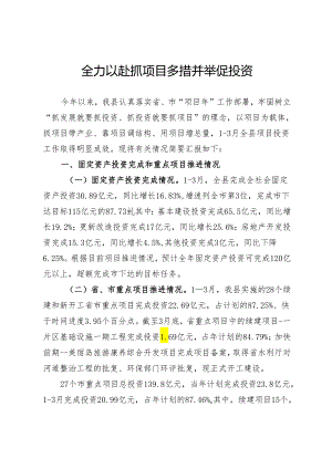 项目投资流动现场会汇报.docx