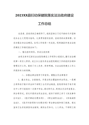 2023XX县妇幼保健院落实法治政府建设工作总结.docx