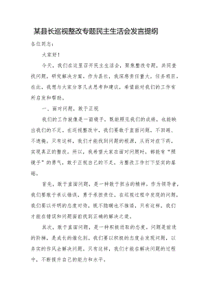 某县长巡视整改专题民主生活会发言提纲.docx