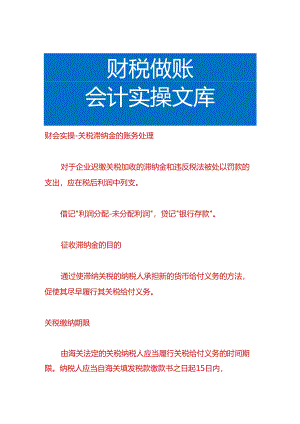 财会实操-关税滞纳金的账务处理.docx