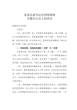 某某县委书记在网络舆情专题办公会上的讲话.docx