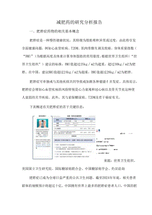减肥药的研究分析报告.docx