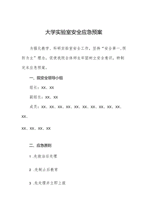 大学实验室安全应急预案.docx