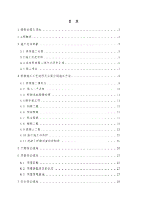 大桥桥墩施工方案#工艺图.doc