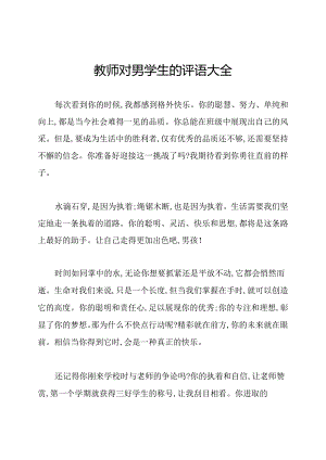 教师对男学生的评语大全.docx