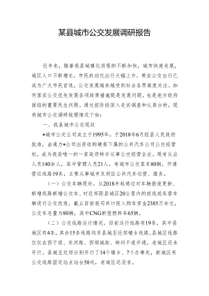 某县城市公交发展调研报告.docx