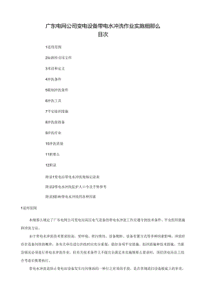 电网公司变电设备带电水冲洗作业实施细则.docx