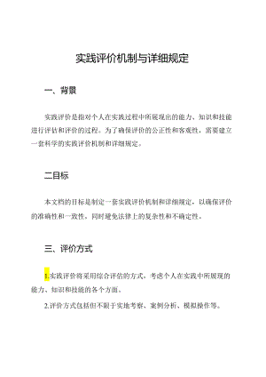 实践评价机制与详细规定.docx