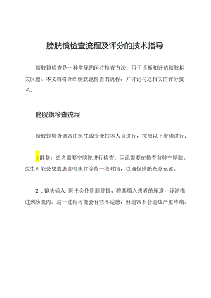 膀胱镜检查流程及评分的技术指导.docx