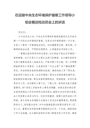 在迎接中央生态环境保护督察工作领导小组会暨迎检动员会上的讲话.docx
