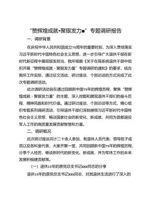 “赞辉煌成就·聚银发力量”专题调研报告.docx