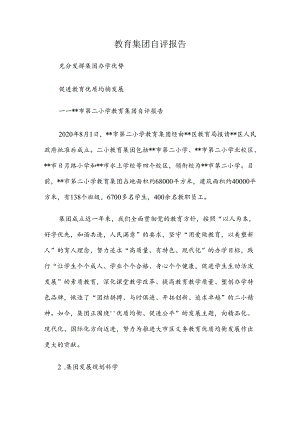 教育集团自评报告.docx