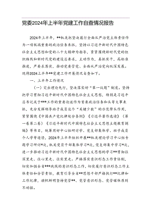 党委2024年上半年党建工作自查情况报告(20240621).docx