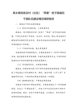 某乡镇党政及村（社区）“两委”班子换届后干部队伍建设情况调研报告.docx