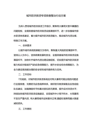 城市防洪排涝专项排查整治行动方案.docx