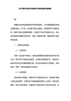 2024某市年轻干部培养计划的实施方案两篇.docx