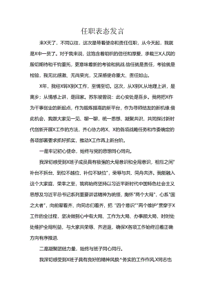 任职表态发言.docx