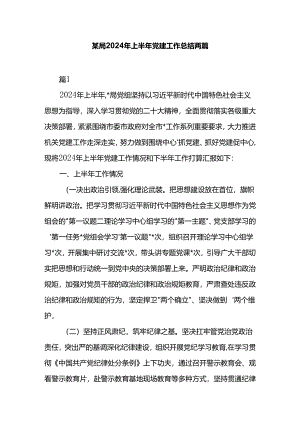 某局2024年上半年党建工作总结两篇.docx