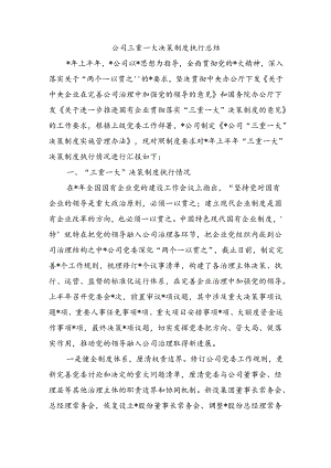 公司三重一大决策制度执行总结.docx