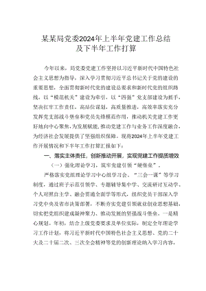 某某局党委2024年上半年党建工作总结及下半年工作打算.docx