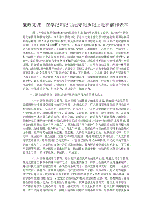 廉政党课：在学纪知纪明纪守纪执纪上走在前作表率.docx