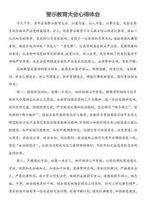 警示教育大会心得体会.docx