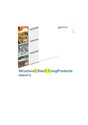 宝钢特钢供应能力与优势.docx