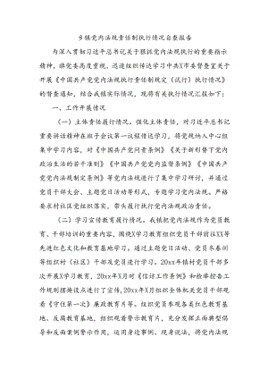 乡镇党内法规责任制执行情况自查报告.docx