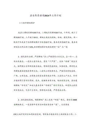 县自然资源局2024年工作计划.docx