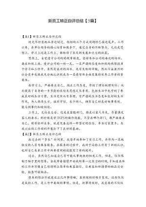 新员工转正自评总结【9篇】.docx
