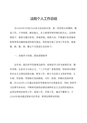 法院个人工作总结.docx