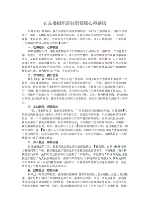在县委组织部挂职锻炼心得感悟.docx