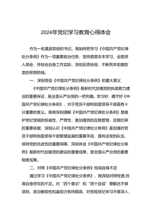 基层党员关于2024年党纪学习教育心得体会二十一篇.docx
