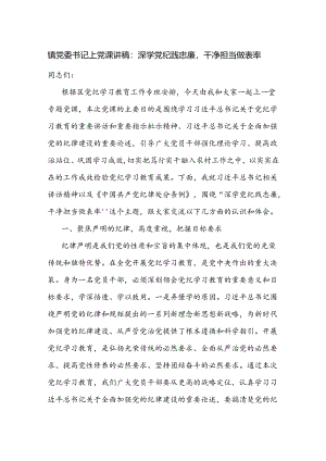 2024乡镇党委书记党纪学习教育加强党的纪律建设专题党课讲稿辅导报告.docx