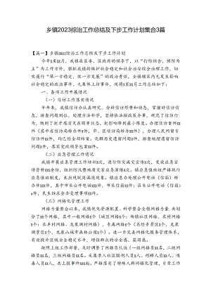 乡镇2023综治工作总结及下步工作计划集合3篇.docx