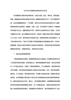 山东2024年玉米穗期病虫害防控技术意见.docx