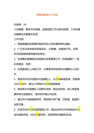 新媒体职责分工内容.docx