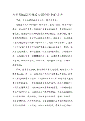 在组织部巡视整改专题会议上的讲话.docx