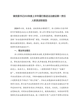 2024年度上半年镇党委书记履行推进法治建设第一责任人职责述职报告.docx