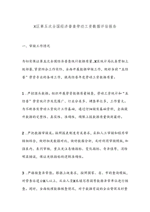 X区第五次全国经济普查劳动工资数据评估报告.docx