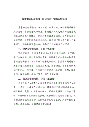 2024夏季治安打击整治“百日行动”情况总结汇报六篇通用.docx