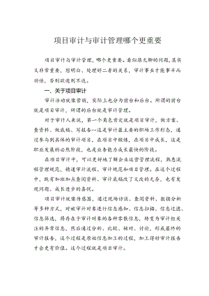 项目审计与审计管理哪个更重要.docx