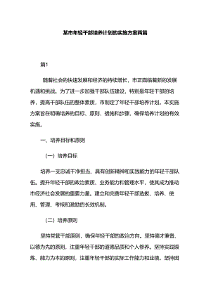 某市年轻干部培养计划的实施方案两篇.docx