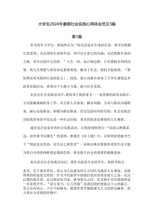 大学生2024年暑期社会实践心得体会范文3篇.docx