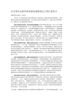 在全省社会组织高质量发展推进会上的汇报发言.docx