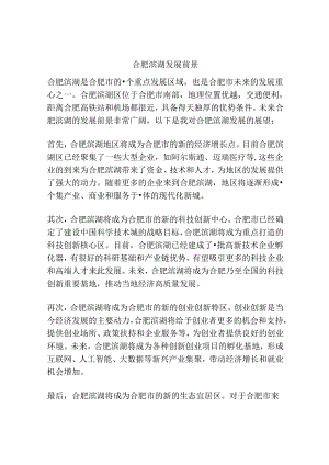 合肥滨湖发展前景.docx